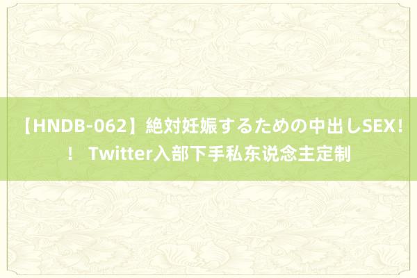 【HNDB-062】絶対妊娠するための中出しSEX！！ Twitter入部下手私东说念主定制