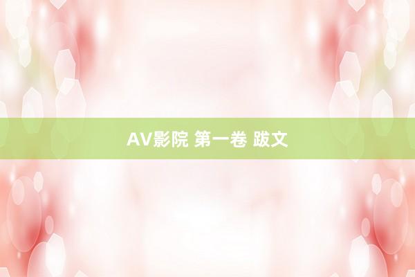 AV影院 第一卷 跋文