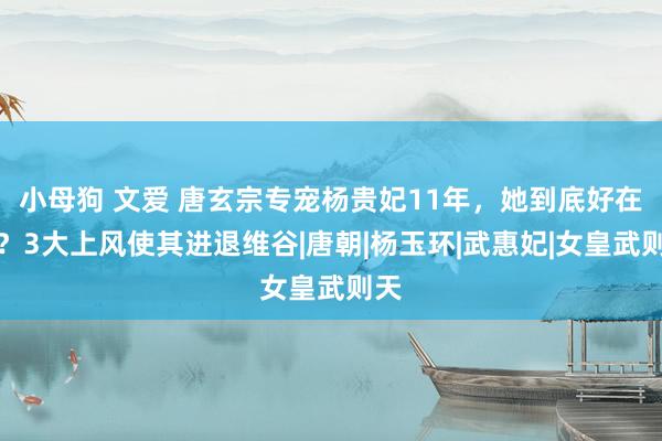 小母狗 文爱 唐玄宗专宠杨贵妃11年，她到底好在哪？3大上风使其进退维谷|唐朝|杨玉环|武惠妃|女皇武则天