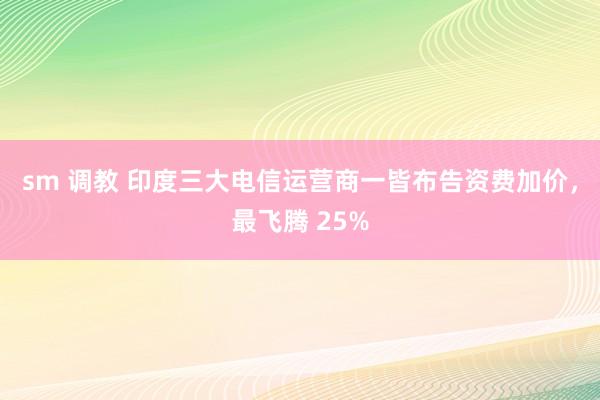 sm 调教 印度三大电信运营商一皆布告资费加价，最飞腾 25%