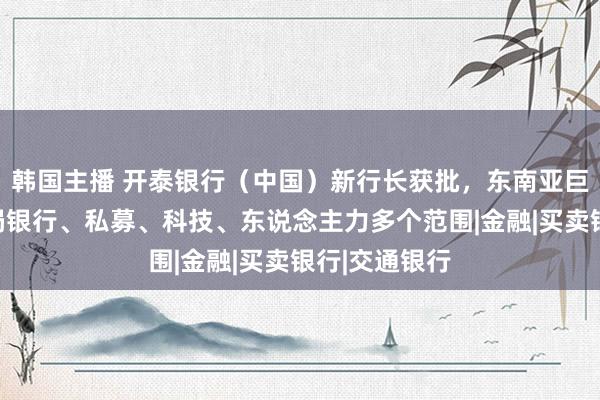 韩国主播 开泰银行（中国）新行长获批，东南亚巨头已在华布局银行、私募、科技、东说念主力多个范围|金融|买卖银行|交通银行