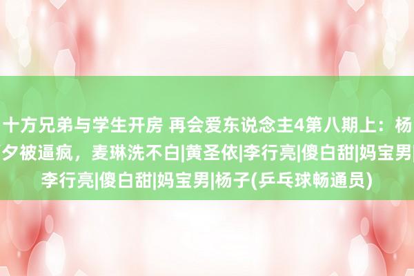 十方兄弟与学生开房 再会爱东说念主4第八期上：杨子刘爽串通一气，葛夕被逼疯，麦琳洗不白|黄圣依|李行