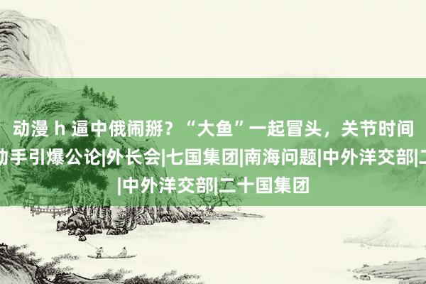 动漫 h 逼中俄闹掰？“大鱼”一起冒头，关节时间，应酬部动手引爆公论|外长会|七国集团|南海问题|中